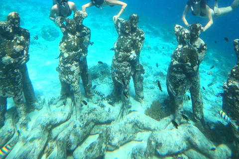 From Gili Trawangan or Gili Air: 4H Shared Snorkeling Trip From Gili Air: 4.5 Hours Shared Snorkeling Trip