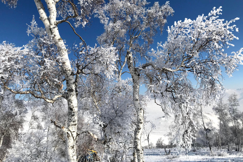 Khuvsgul Lake & Tsaatan Reindeer Herders Tour