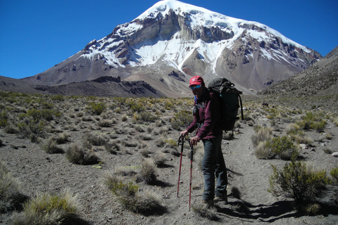 La Paz: Tour Sajama, Salinas de Uyuni, San Pedro de Atacama