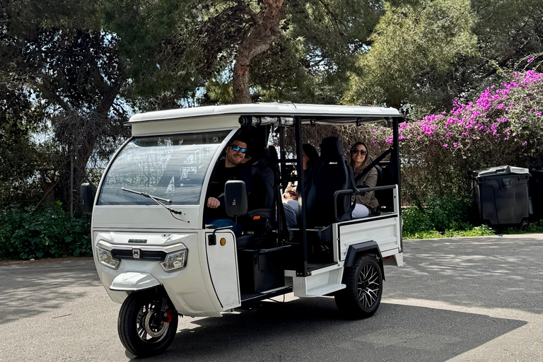 Málaga: Private Tuk Tuk Sightseeing Tour of the City and Gibralfaro