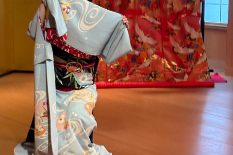 Kyoto: Geisha(Maiko) Show with Dinner, Games & Open Bar
