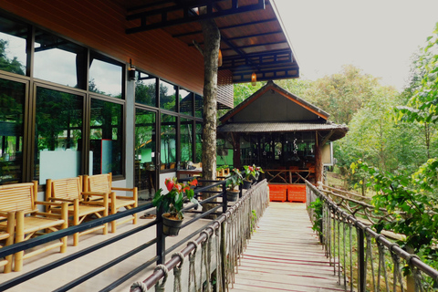 Khao Sok Jungle Day Trip - Jungle Trekking & Bamboo Rafting