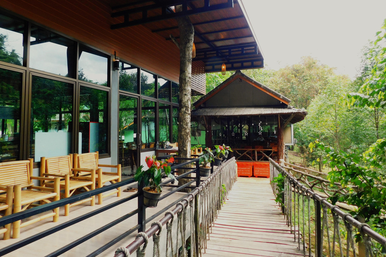 Khao Sok Jungle Day Trip - Jungle Trekking & Bamboo Rafting