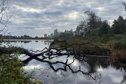 Vancouver: Hop-On Hop-Off City Tour by Car, Small Group