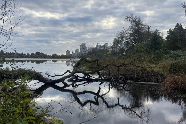 Vancouver: Hop-On Hop-Off City Tour by Car, Small Group