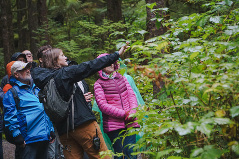 Ketchikan: Alaska Rainforest Sanctuary and Totem Park Walk