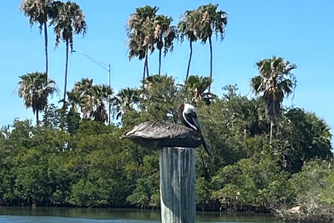 Stuart FL: Sunset Celebration Treasure Coast Treasure Coast Eco History Sunset Tour, Ft Pierce FL