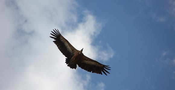 Krk: Piratenhöhlen-Ausflug mit Schatzsuche und Schwimmen