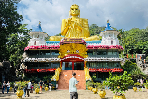 Negombo: Trincomalee Transfer with Dambulla Cave Temple