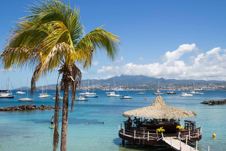 Private Island Tour of Martinique with Local Driver-Guide