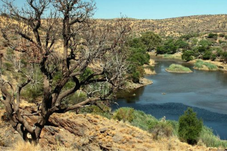 1/2 day in Windhoek: Game Reserve Safari, City Tour, & Lunch