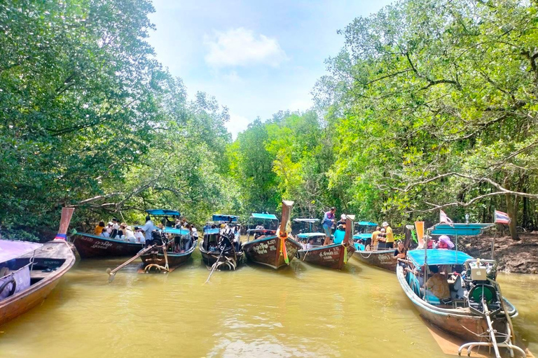 Krabi halvdagsutflykt ekotur Mangrove båttur &amp; Khanap Nam Cave