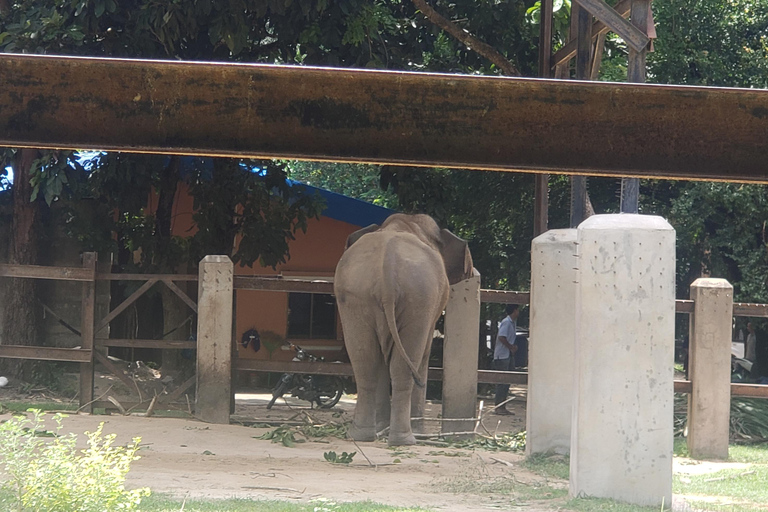 Chi so mountain _ Ta moa zoo_ Bati temple Tour