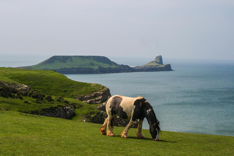 Au départ de Cardiff : Péninsule de Gower, les plus belles falaises du sud du Pays de Galles