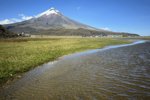 Cotopaxi Volcano and Papallacta Hot Springs - In a One Day