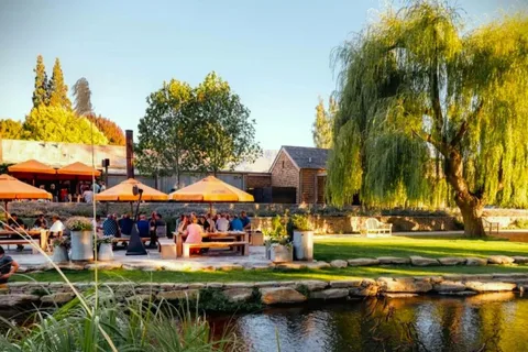Queenstown: Wine Hopper Flexible Wine Tour