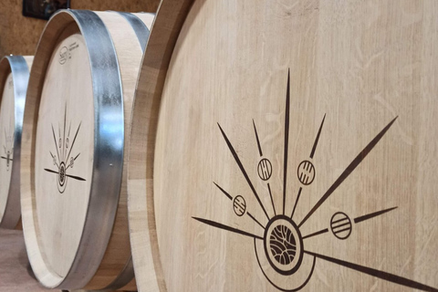 Educational hike in the Anjou vineyards Wine Hike