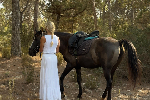 Maun, Botswana: Half Day Guided Horse Back Safari Ride