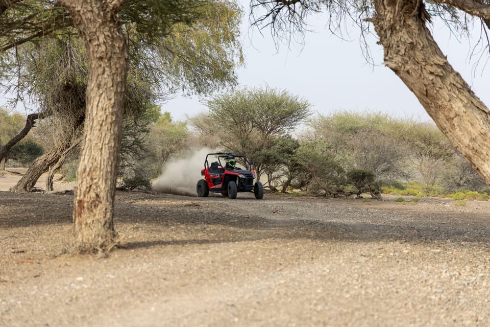Da Muscat 1 ora: avventura in ATV a guida autonoma nel Wadi Al Rak ...