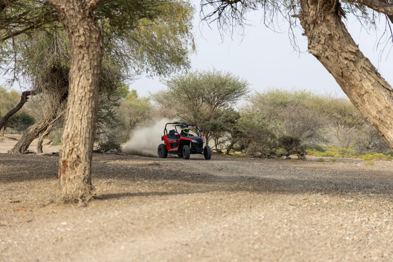 Z Muscat 1 godzina: Przygoda ATV z własnym napędem w Wadi Al RakWadi Al Rak Adventure: Odkryj naturę Omanu na quadzie