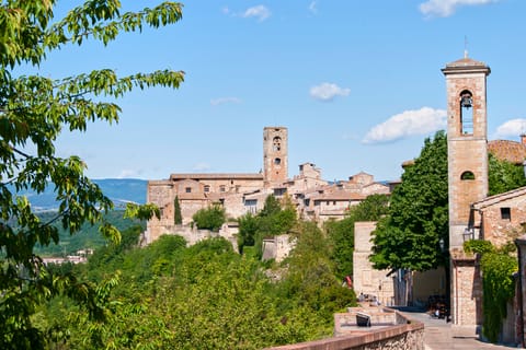 Colle Val d'Elsa e Volterra: tour di 1 giorno