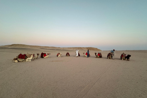 Hurghada: Camel Ride & horse ride and Off-Road Jeep Tour pickup from hotels inside hurghada