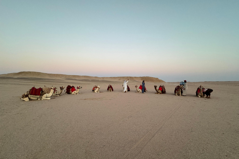 Hurghada: Camel Ride & horse ride and Off-Road Jeep Tour pickup from hotels inside hurghada