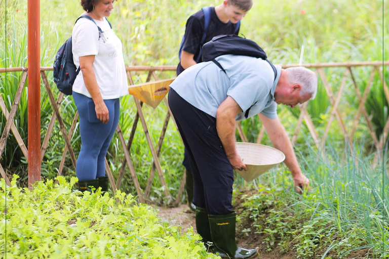 Hue Cooking Class- From market to table experience