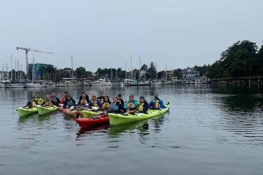 Victoria: Geführte Kajak-Tour. Foto: GetYourGuide