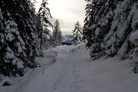 Kraków: Tatra Mountains Guided Hike with Hotel Pickup Tatra Mountains Guided Hike with Hotel Pickup