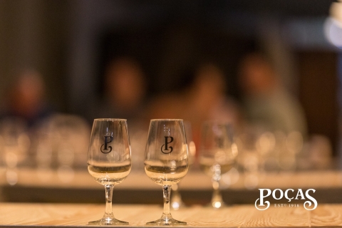 Porto : Visite guidée et dégustation de 3 vins de PortoVisite en français
