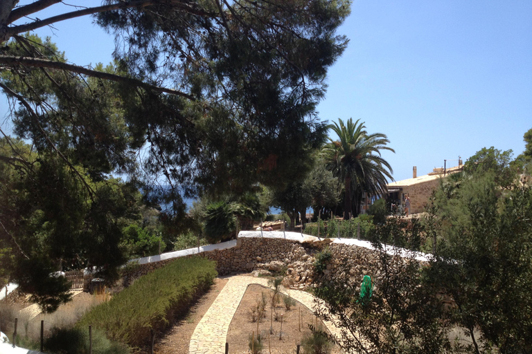 马略卡岛：乘船前往 Dragonera 岛和 Andratx 港帕格拉会面地点