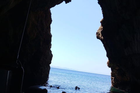 Depuis Can Picafort : Observation des dauphins et excursion en bateau dans les grottes