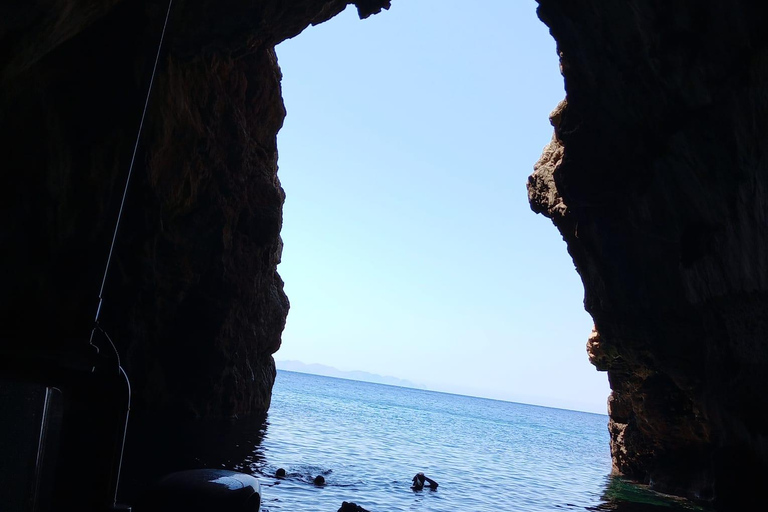 Depuis Can Picafort : Observation des dauphins et excursion en bateau dans les grottes