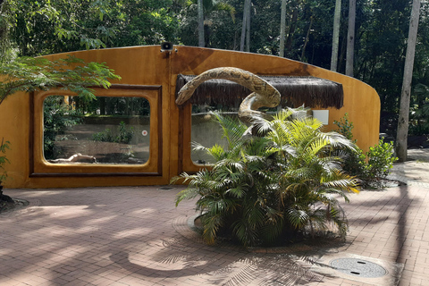 Río de Janeiro: Tour guiado por el BioParque con traslado