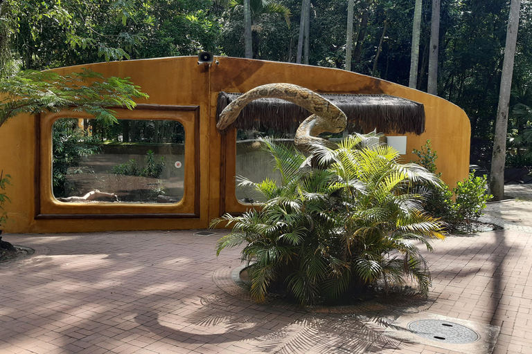 Rio de Janeiro: BioParque Guided Tour with Transfer