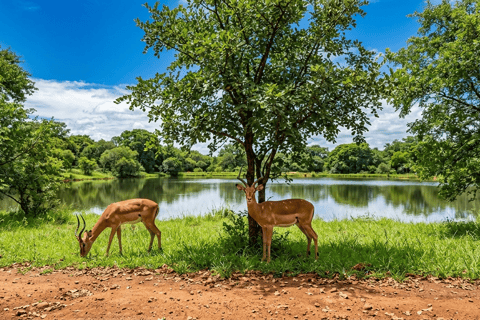Eswatini: Guided Hike to Nyonyane Mountain - Execution Rock Minimum 2 Pax