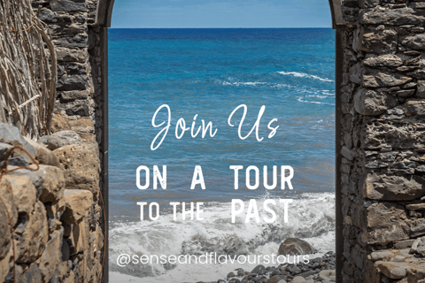 VW VAN Tours | NORDESTE