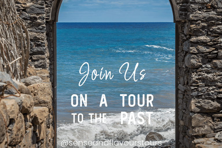 VW VAN Tours | NORDESTE