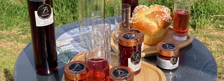 VISITE VITICOLE EN DUO PARENTS-ENFANTS DANS LA CÔTE-RÔTIE