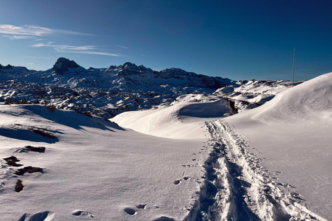 Hallstatt: Panoramic Snowshoe Hike to Heilbronner Cross