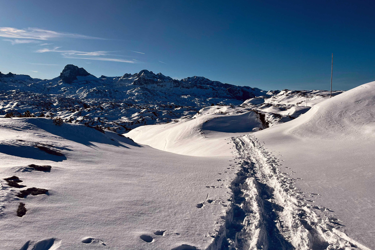 Hallstatt: Panoramic Snowshoe Hike to Heilbronner Cross