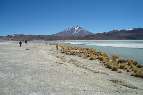 San Pedro de Atacama: Salar Uyuni - Sajama - La Paz. 5D/4N