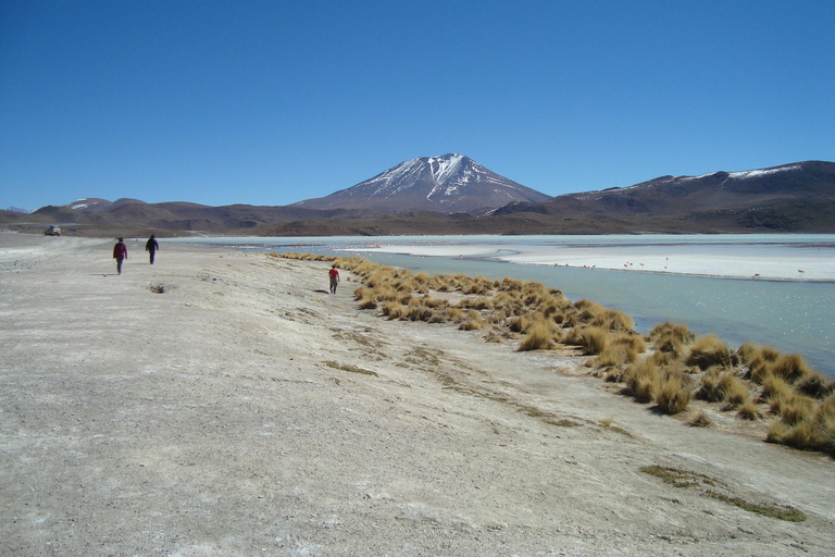 San Pedro de Atacama: Salar Uyuni - Sajama - La Paz. 5D/4N