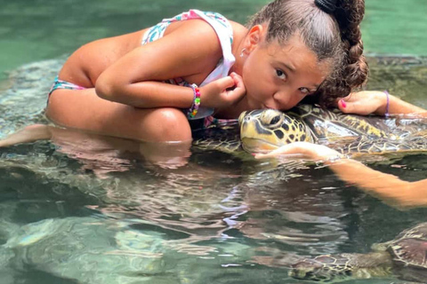 Zanzibar: Jaskinia Salaam i pływanie z żółwiamiTa opcja nie obejmuje transportu.