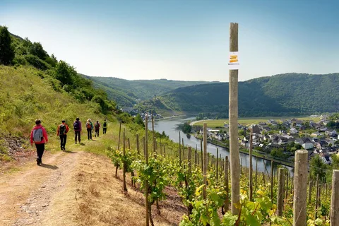 Cochem, Moselle: Wine experience hike with boat