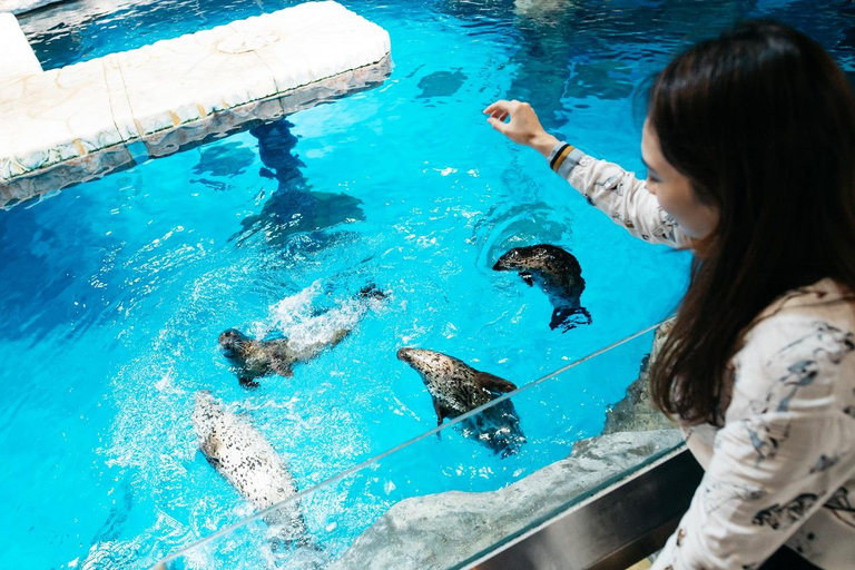 Hongkong: Ocean Park Animal Feeding &amp; Learning Experience