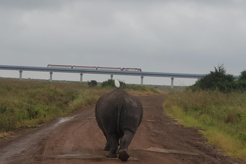 Nairobi National Park: Game Drive Tour Nairobi National Park: Game Drive Tour