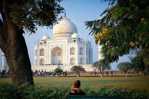 Desde Jaipur: Excursión Privada de un Día al Amanecer del Taj Mahal y el Fuerte de AgraConductor + Coche + Guía + Entrada + Comida