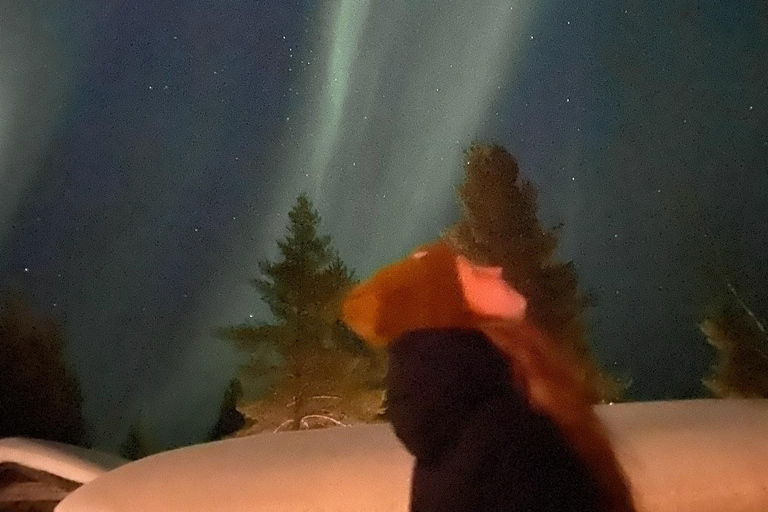 Saariselkä/Kakslauttanen: Private Aurora Hunt in Premium Car Saariselkä: Premium Northern Lights Car Hunt in Small Group